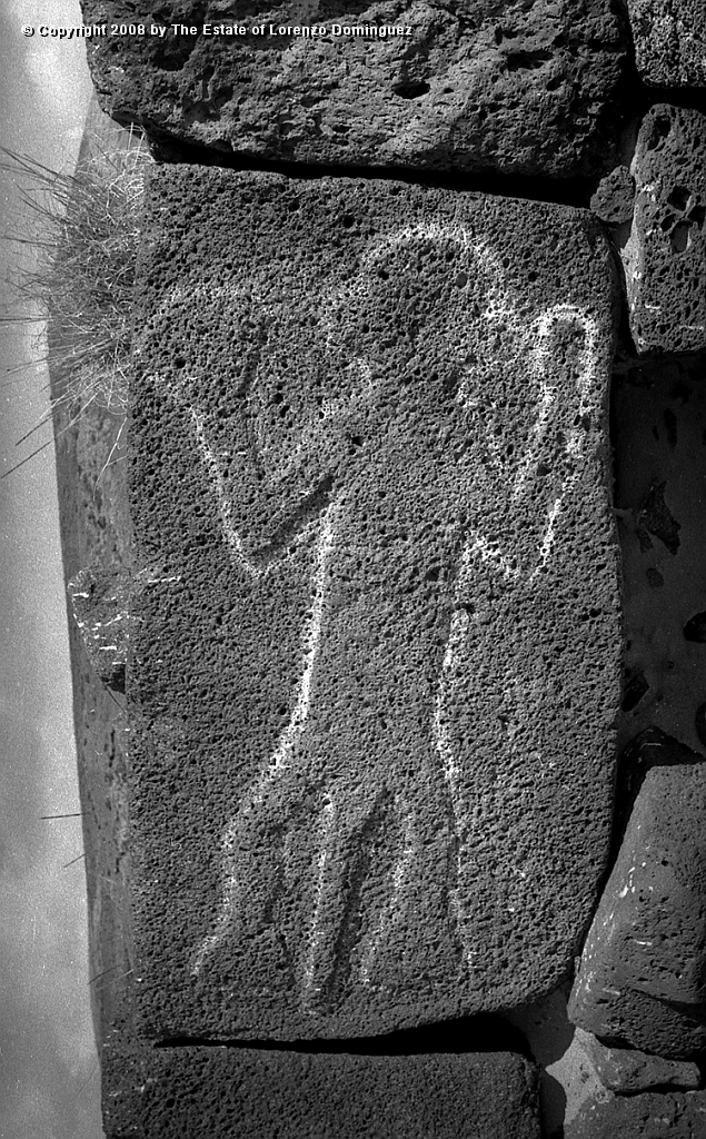ANA_El_Potente_03.jpg - Easter Island. 1960. Anakena. Petroglyph on an ahu wall called "The potent one."